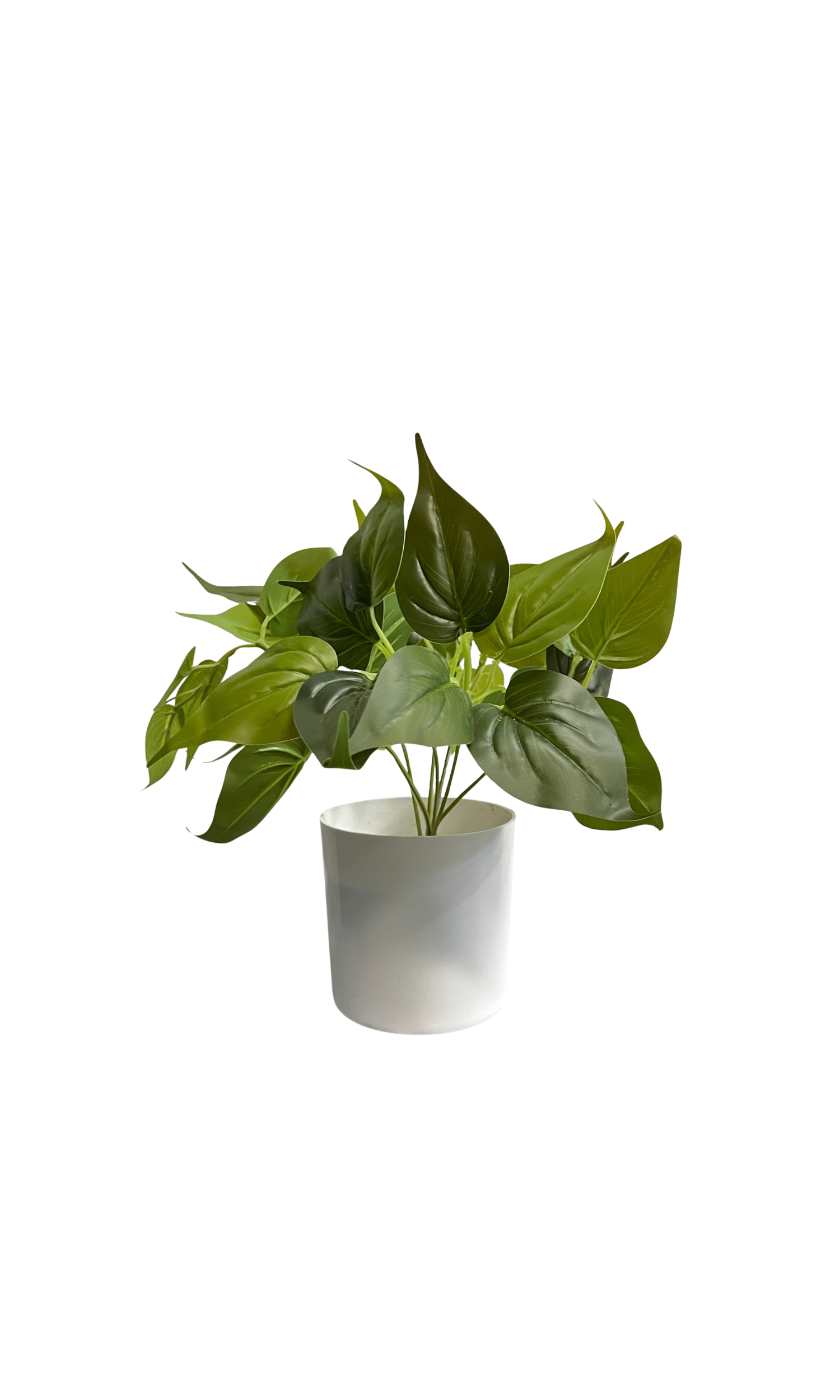 SAKSIJSKA BILJKA 25cm 05871