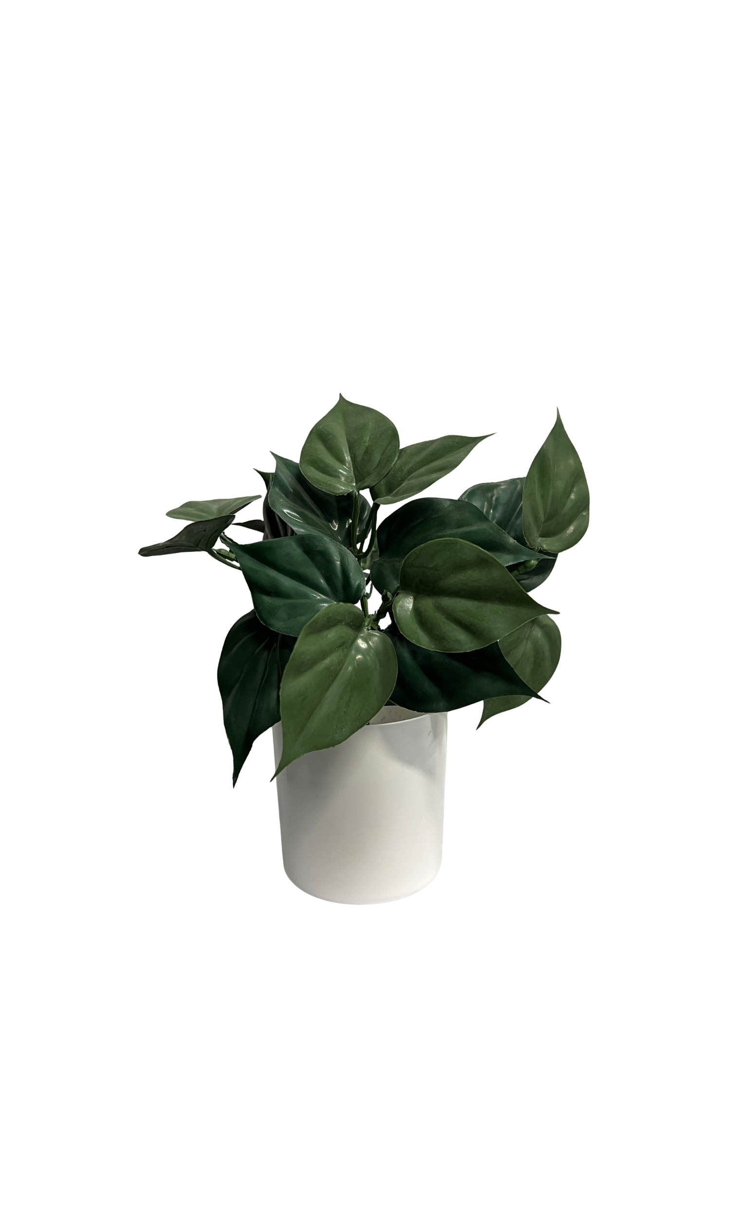 SAKSIJSKA BILJKA 28cm 05874